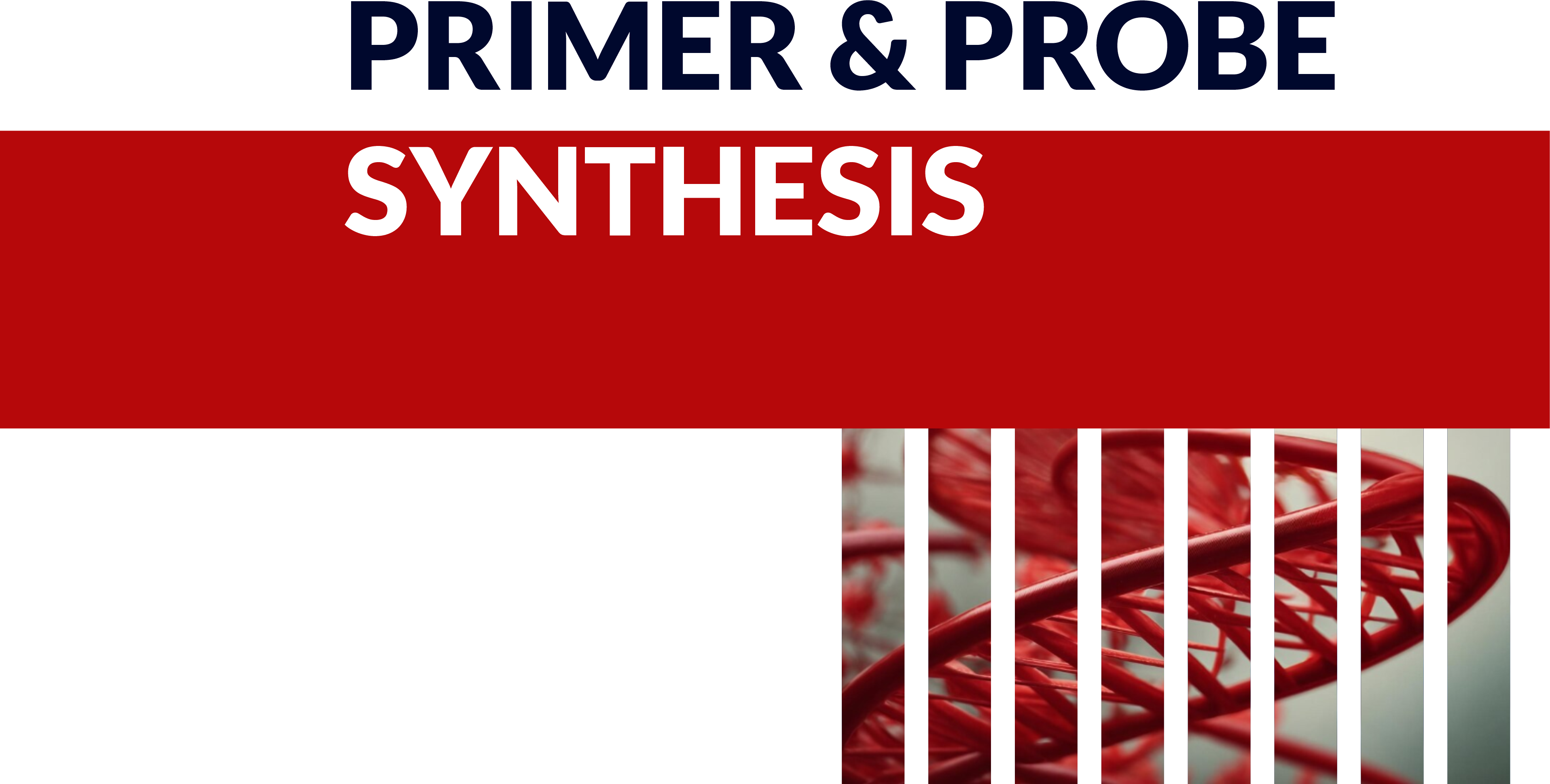 🔬 پرایمر و پروب در ژنتیک — راهنمای کامل و کاربردی