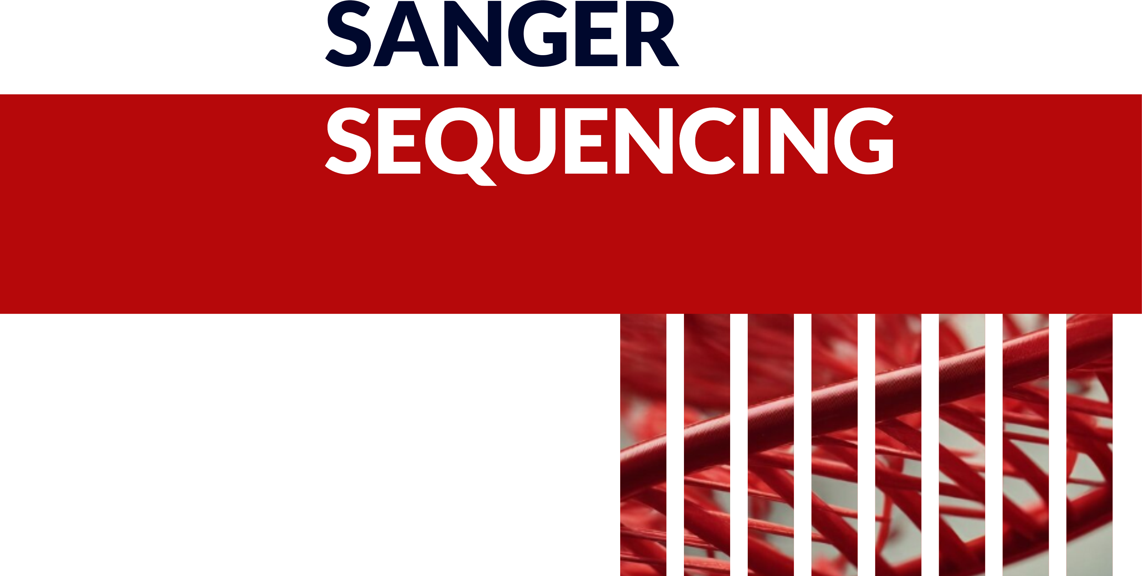 🧬 توالییابی سنگر (Sanger Sequencing) — روش طلایی تعیین توالی DNA